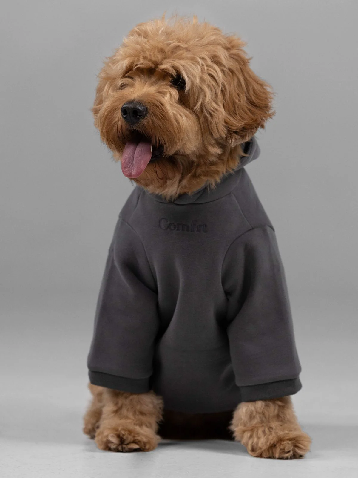 Signature Paw Hoodie -Pre Order 3 Signature Paw Hoodie -Pre Order