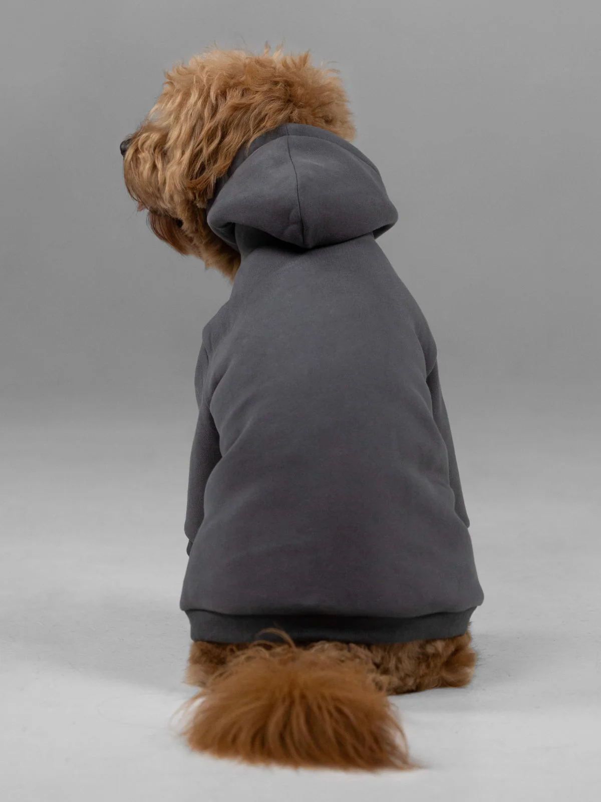 Signature Paw Hoodie -Pre Order 4 Signature Paw Hoodie -Pre Order
