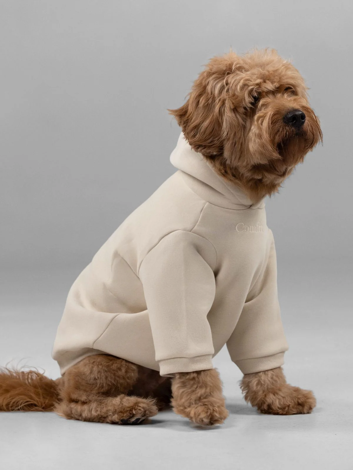 Signature Paw Hoodie -Pre Order 6 Signature Paw Hoodie -Pre Order