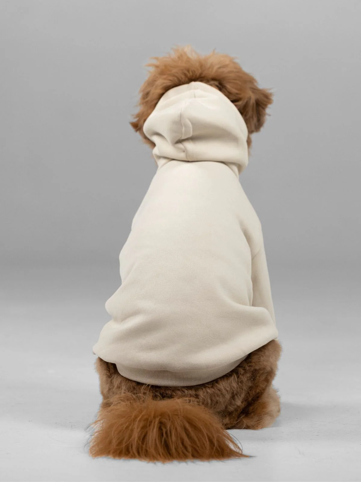 Signature Paw Hoodie -Pre Order 9 Signature Paw Hoodie -Pre Order