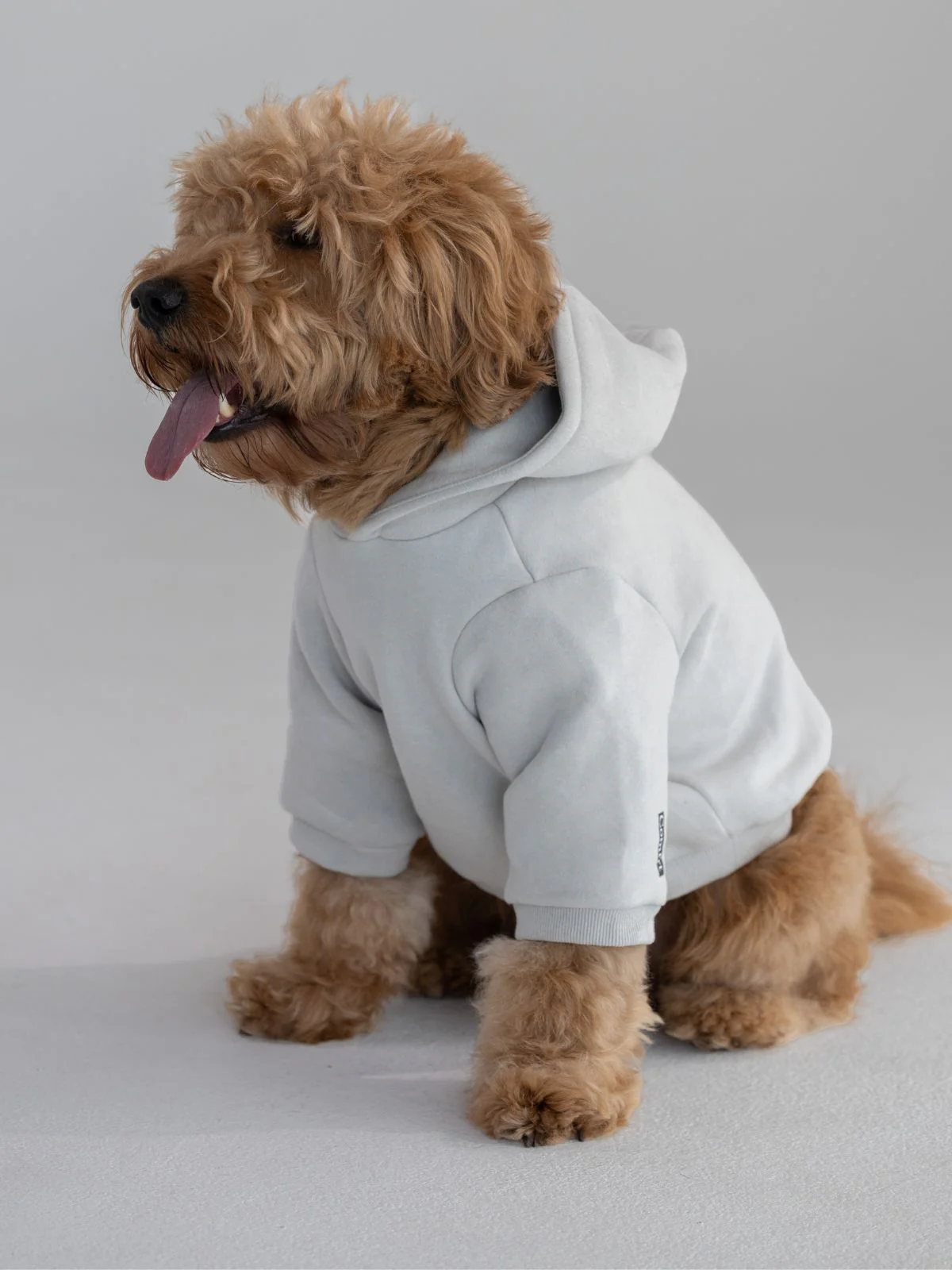 Standard Paw Hoodie - Pre-Order