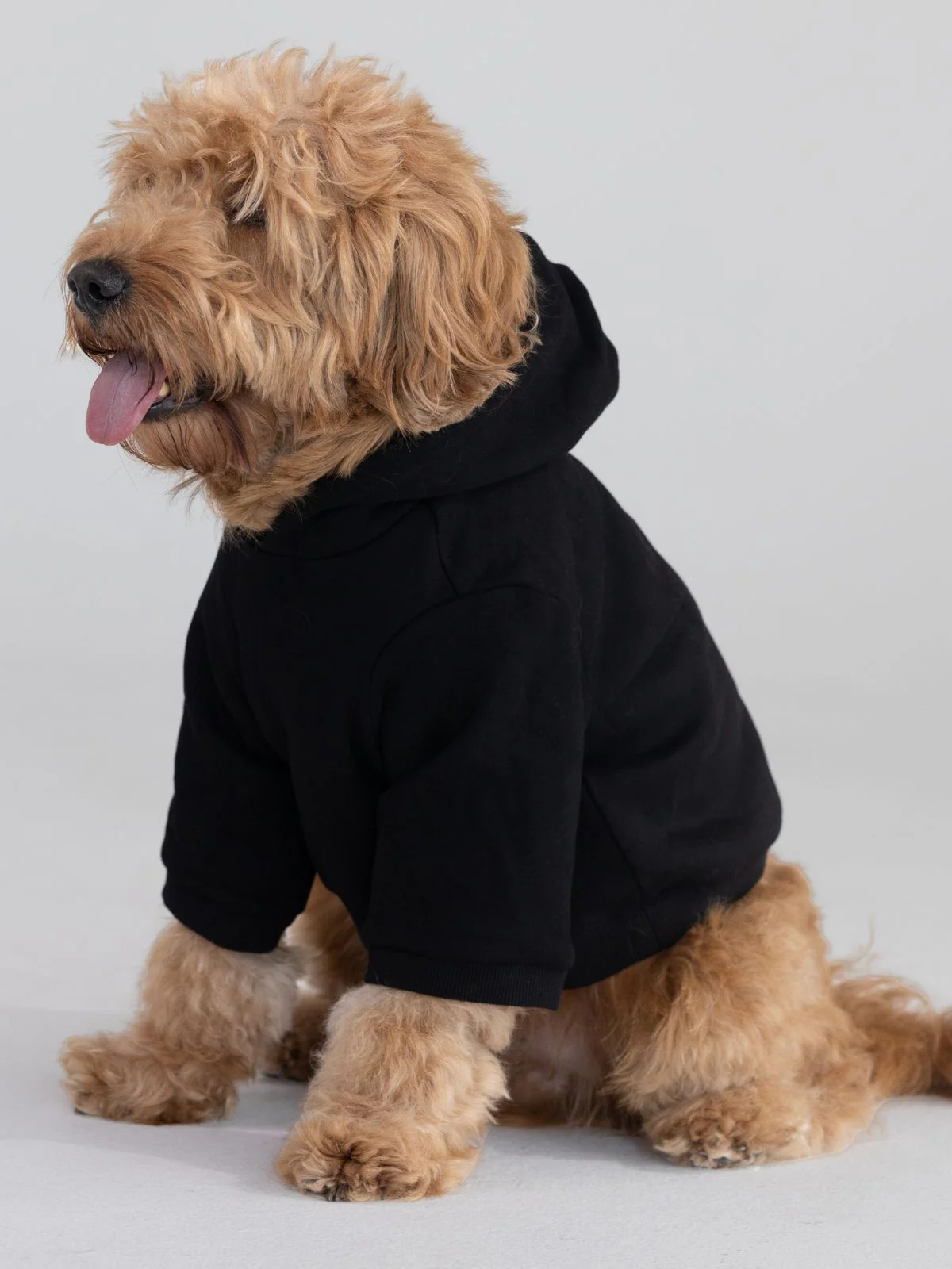 Tranquil Paw Hoodie -Pre-Order