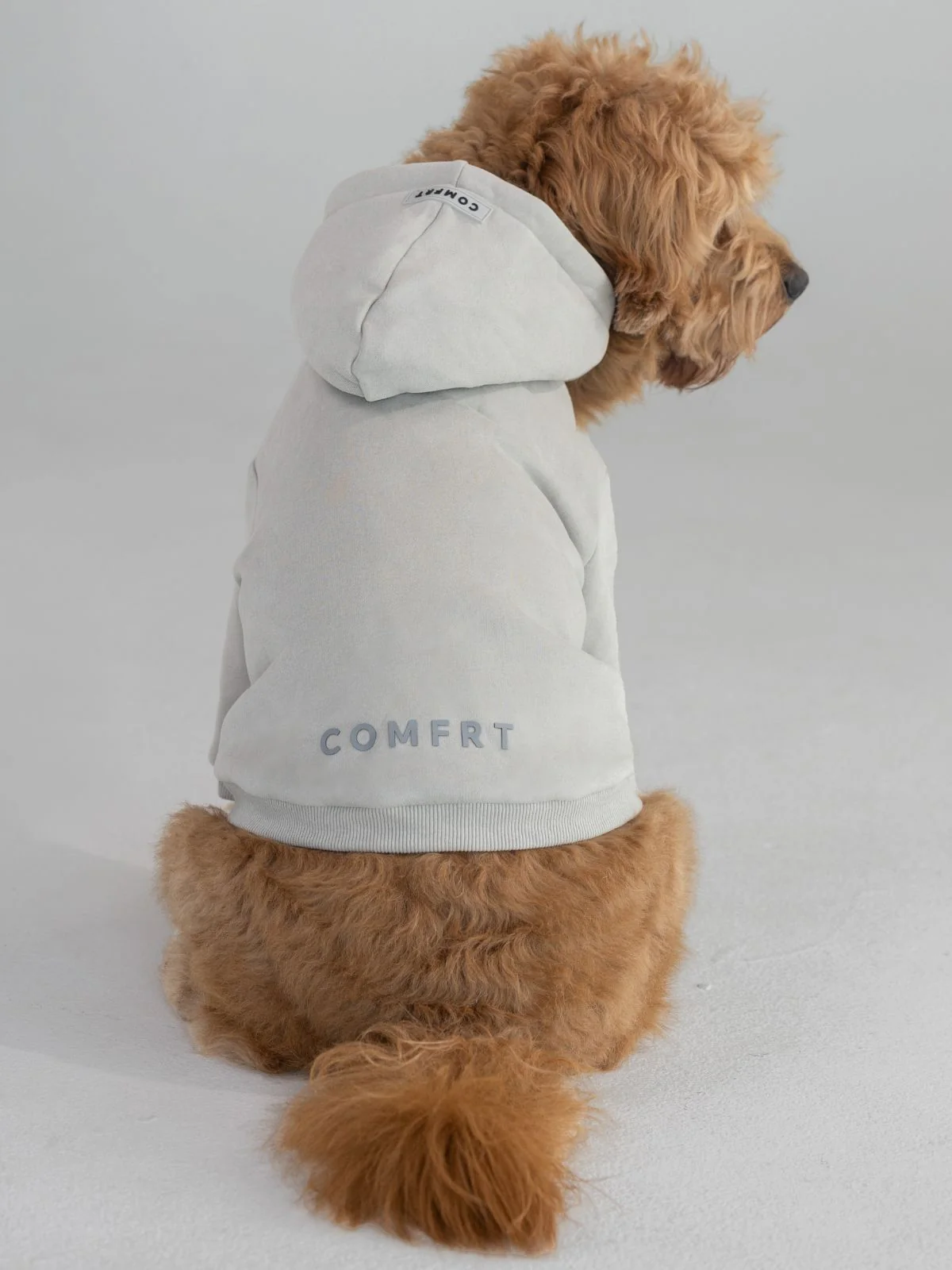 Tranquil Paw Hoodie -Pre-Order