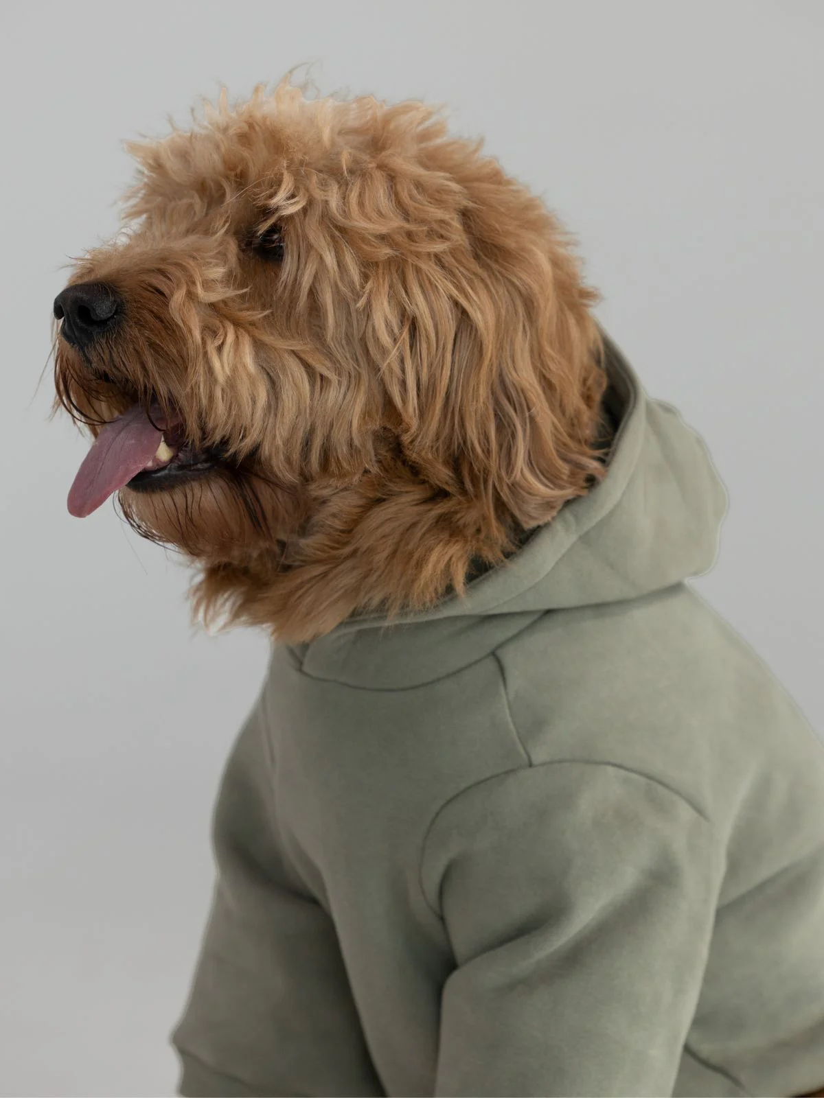 Coordinate Paw Hoodie - Pre-Order 3 Coordinate Paw Hoodie - Pre-Order