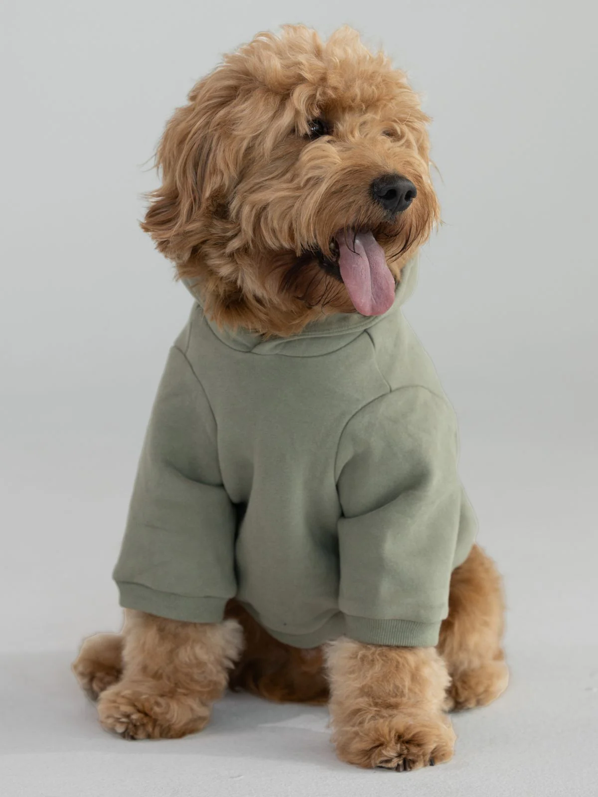 Coordinate Paw Hoodie - Pre-Order 5 Coordinate Paw Hoodie - Pre-Order