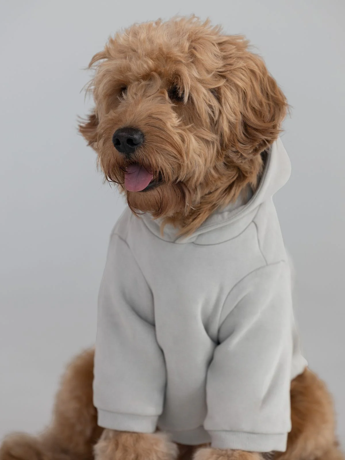 Coordinate Paw Hoodie - Pre-Order 6 Coordinate Paw Hoodie - Pre-Order